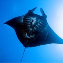 ���� Svetlana, ������, 59 ��� - ��������� 29 ����� 2011 � ������ ���������� ��� ���������� �����