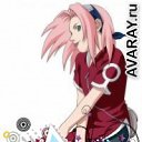 ���� �����, ��� - ��������� 10 ��� 2013 � ������ ���� ����������