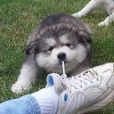 ���� �������, �������� - ��������� 8 ������� 2010 � ������ ���� �������