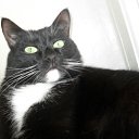 ���� ���������, �������, 54 ���� - ��������� 27 ������ 2011 � ������ ���� ����������