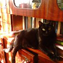 ������ �� ������� �������