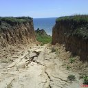 ���� ������, �����, 47 ��� - ��������� 23 ������� 2010 � ������ �PetLove�