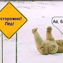  , -, 39  -  10  2009    