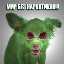 ���� �����, �����-���������, 46 ��� - ��������� 2 ������� 2011