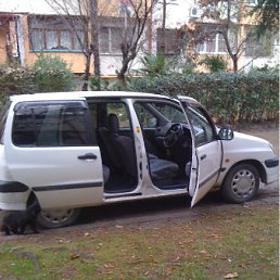 ���� ������, �����������, 51 ��� - ��������� 28 ������� 2011