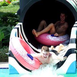 �����, 37 ���, ��������