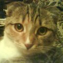 ���� ��������, �����-��������� - ��������� 18 ������� 2011