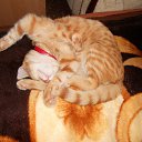 ���� �����, �������, 39 ��� - ��������� 25 �������� 2012 � ������ �������