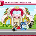  , , 61  -  11  2011   PetLove