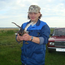 ���� �����(������� �������� � Ѹ��������), �������-���������, 46 ��� - ��������� 7 �������� 2011