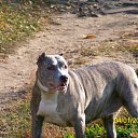 ���� ����, �����, 41 ��� - ��������� 24 ������ 2011