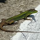 ���� ������, �������, 56 ��� - ��������� 22 ������� 2010 � ������ ��� ����