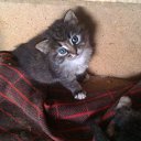 ���� �������, ��������, 42 ���� - ��������� 27 ��� 2013 � ������ ������ ��������