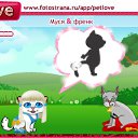  , , 25  -  19  2010   PetLove