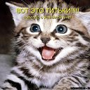 ���� ���� ���������, ������, 39 ��� - ��������� 15 ���� 2012 � ������ �������