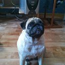 � ������ ������ ����� �����)))