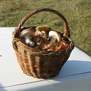 ���� ��� �����, ������� - ��������� 26 ��� 2011 � ������ �������,������� ��,�� �� ��� �����������..!�