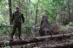 ����, ������, 40 ���