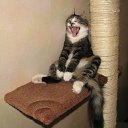 ���� ����, ������� - ��������� 10 ������ 2010 � ������ �������������