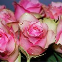 ���� ������*, ���������, 24 ���� - ��������� 4 ������ 2012 � ������ ������������ ���� ������� �����=)�