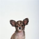 ���� ������, ����, 41 ��� - ��������� 10 ���� 2013 � ������ ���� ����������