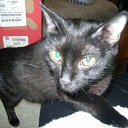 ���� �������, ������, 43 ���� - ��������� 21 ������� 2011 � ������ ��������� ���