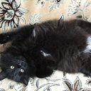 ���� �������, ���������, 56 ��� - ��������� 9 ������� 2011