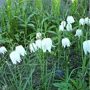 ���� ��, �������, 46 ��� - ��������� 15 ����� 2012