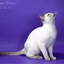 ���� Len7315, ����, 43 ���� - ��������� 16 ����� 2010 � ������ ������ �����