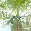 ���� ������, ������, 60 ��� - ��������� 20 ���� 2011 � ������ ������� 2011�