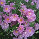 ���� �������, ������, 56 ��� - ��������� 28 ����� 2011 � ������ ��������