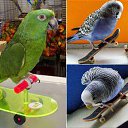 ���� �������, ������ - ��������� 23 ������� 2012 � ������ ���� ����������