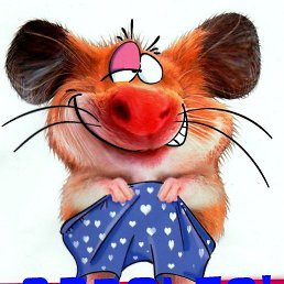 ���� ������, �����-���������, 53 ���� - ��������� 4 ���� 2013