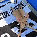 �������)) �� ������� ���� ����������