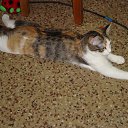 ���� �����, �������������, 25 ��� - ��������� 28 ���� 2013 � ������ ���� ����� �����.�