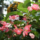 ���� ����, ������, 38 ��� - ��������� 28 ���� 2010 � ������ �������