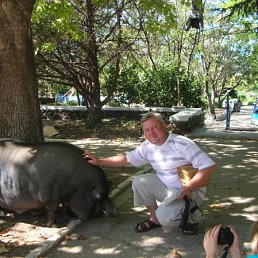 ������, ��������, 59 ���