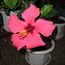 ���� ��������, ������ - ��������� 15 ����� 2010 � ������ �������