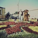 ���� �������� �����., �����-���������, 86 ��� - ��������� 11 ������ 2012 � ������ ���� ����������