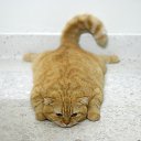 ���� ����� - ���������� ��������!!!, �����������, 56 ��� - ��������� 31 ������� 2009 � ������ �����Ȼ