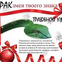 ���� ����, ������� - ��������� 4 ���� 2013 � ������ �2013 ��� - ��� ����