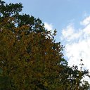 ���� ����, ������, 39 ��� - ��������� 9 ������� 2009 � ������ ����.....������...!!!!!!!!!!)))))))�