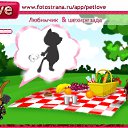  , , 24  -  12  2010   PetLove
