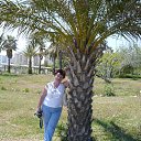 ����������� 2013 ���