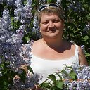 ���� �������, ��������, 50 ��� - ��������� 11 ��� 2013 � ������ ���� ����������