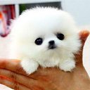  Artur, , 38  -  21  2013    