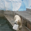 ���� ������� �����, ����������� - ��������� 29 ���� 2011 � ������ �������