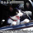 ���� ������, ������, 39 ��� - ��������� 16 ������ 2011