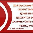 ���� ˸���, �����������, 34 ���� - ��������� 10 ������� 2012 � ������ �������