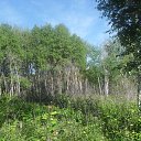 ���� ���������, �������������, 55 ��� - ��������� 7 ������� 2012 � ������ �ghbhjlf�